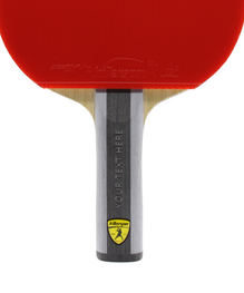 Paddle Customization